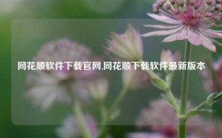 同花顺软件下载官网,同花顺下载软件最新版本