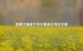 指基大角逐下中小基金公司众生相