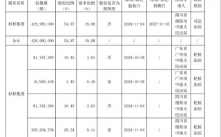 刚刚“卖掉”一家A股！杉杉系又有司法冻结