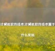 计算机软件技术,计算机软件技术属于什么类别