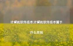 计算机软件技术,计算机软件技术属于什么类别