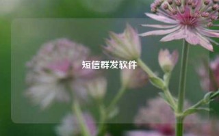 短信群发软件