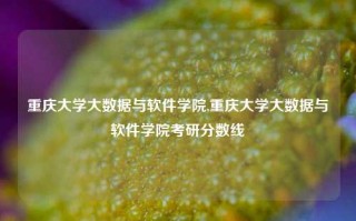 重庆大学大数据与软件学院,重庆大学大数据与软件学院考研分数线