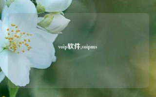 voip软件,voipms