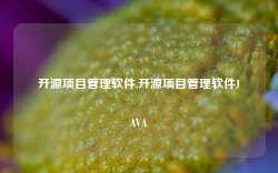 开源项目管理软件,开源项目管理软件JAVA