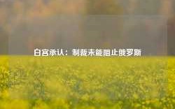 白宫承认：制裁未能阻止俄罗斯