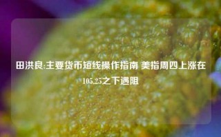 田洪良:主要货币短线操作指南 美指周四上涨在105.25之下遇阻