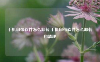 手机自带软件怎么卸载,手机自带软件怎么卸载和清理