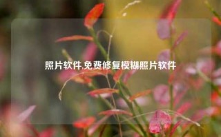 照片软件,免费修复模糊照片软件