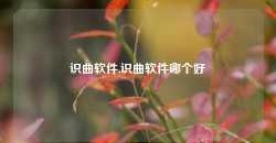 识曲软件,识曲软件哪个好