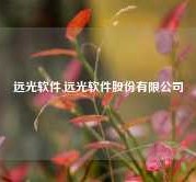 远光软件,远光软件股份有限公司