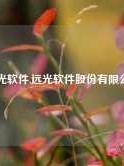 远光软件,远光软件股份有限公司