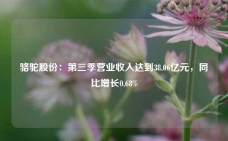 骆驼股份：第三季营业收入达到38.06亿元，同比增长0.68%