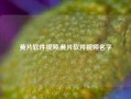 黄片软件视频,黄片软件视频名字