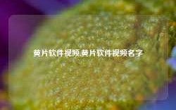 黄片软件视频,黄片软件视频名字