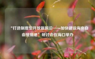 “打造制度型开放新前沿——加快建设海南自由贸易港”研讨会在海口举办