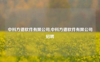 中科方德软件有限公司,中科方德软件有限公司招聘