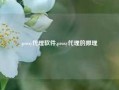 proxy代理软件,proxy代理的原理