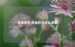 电脑软件,电脑软件怎么卸载