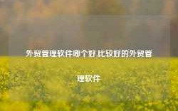 外贸管理软件哪个好,比较好的外贸管理软件