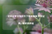 平安证券交易软件下载电脑版,平安证券pc端使用教程