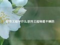 软件工程学什么,软件工程师是干嘛的