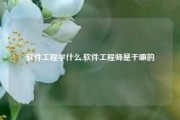 软件工程学什么,软件工程师是干嘛的