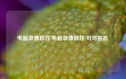 电脑录像软件,电脑录像软件 可可相机