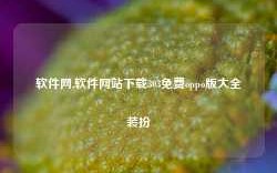 软件网,软件网站下载303免费oppo版大全装扮