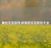 黄色交友软件,所有的交友软件大全