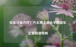 买车才能合作？汽车博主胡永平炮轰车企营销潜规则