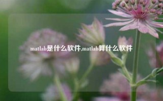 matlab是什么软件,matlab算什么软件