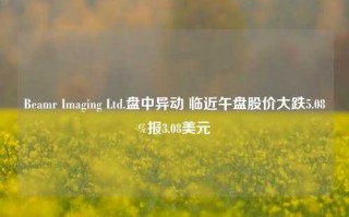 Beamr Imaging Ltd.盘中异动 临近午盘股价大跌5.08%报3.08美元