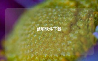 破解软件下载