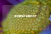 福特将在欧洲裁员四千