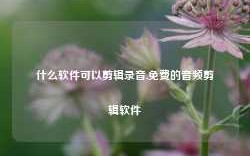 什么软件可以剪辑录音,免费的音频剪辑软件