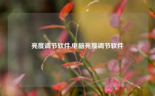 亮度调节软件,电脑亮度调节软件