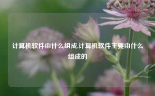 计算机软件由什么组成,计算机软件主要由什么组成的