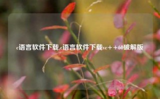 c语言软件下载,c语言软件下载vc++60破解版