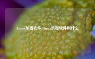 3dmax杀毒软件,3dmax杀毒软件叫什么