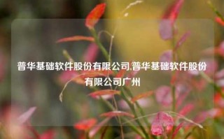 普华基础软件股份有限公司,普华基础软件股份有限公司广州