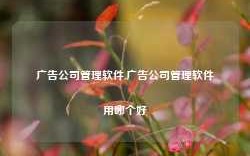 广告公司管理软件,广告公司管理软件用哪个好