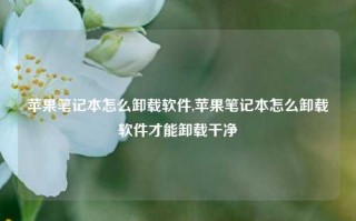 苹果笔记本怎么卸载软件,苹果笔记本怎么卸载软件才能卸载干净