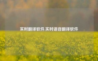 实时翻译软件,实时语音翻译软件