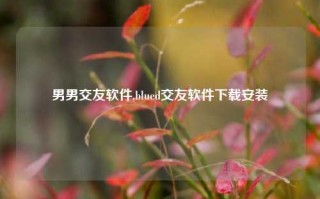 男男交友软件,blued交友软件下载安装