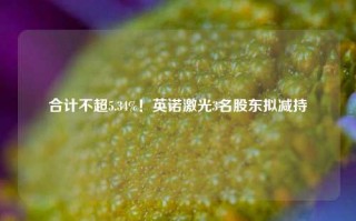 合计不超5.34%！英诺激光3名股东拟减持