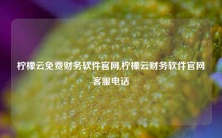 柠檬云免费财务软件官网,柠檬云财务软件官网客服电话