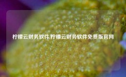 柠檬云财务软件,柠檬云财务软件免费版官网