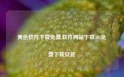 黄色软件下载免费,软件网站下载303免费下载安装