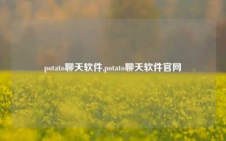 potato聊天软件,potato聊天软件官网